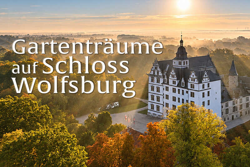 Das Bild zeigt Schloss Wolfsburg inmitten herbstlich gefärbter Natur bei warmem Morgenlicht mit der Aufschrift „Gartenträume auf Schloss Wolfsburg“.