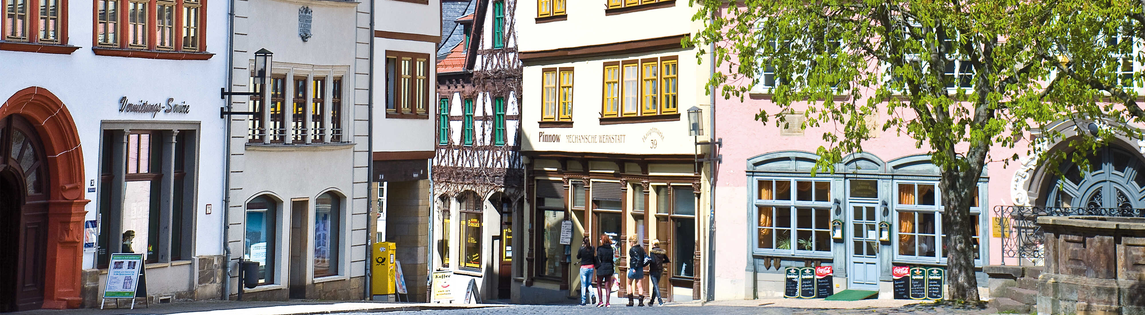 Ansicht einer historischen Burg auf einem bewaldeten Hügel bei klarem Himmel.