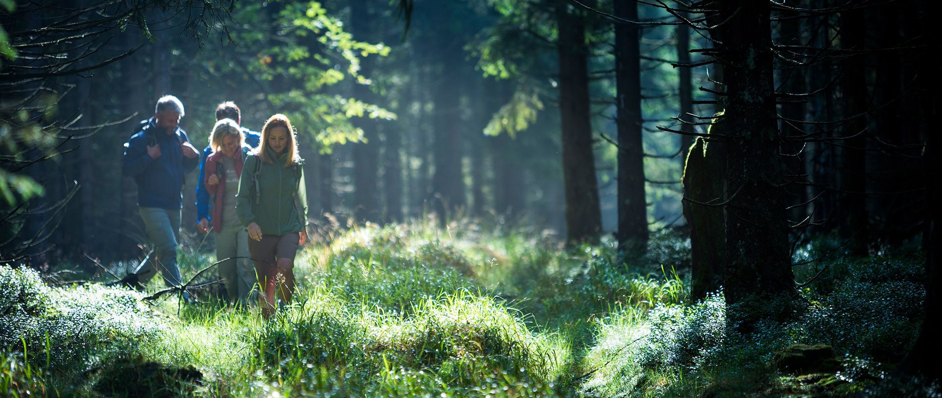 Gruppe von Menschen wandert durch einen sonnenbeschienenen Wald.
