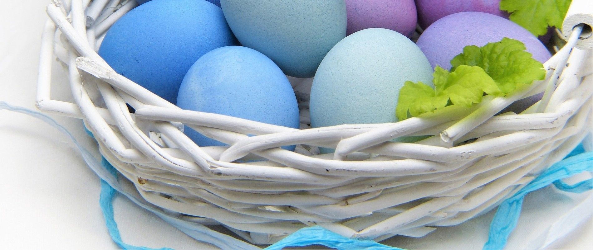 Ein weißer Korb mit blau und lila gefärbten Ostereiern und grünen Blättern.