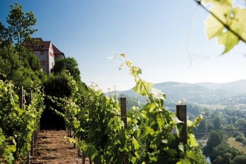 Weinberge auf einem Hügel mit einem Gebäude im Hintergrund und einer weitläufigen Landschaft mit Hügeln.